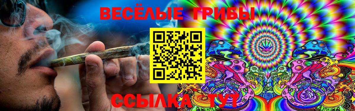 Псилоцибиновые грибы Psilocybine cubensis  Вход с VPN  Кемерово  Псилоцибиновые грибы мухоморы 